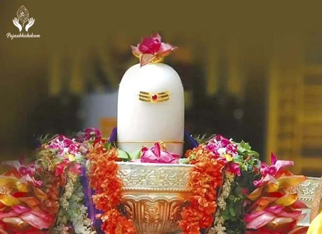 Mahamrityunjaya Puja