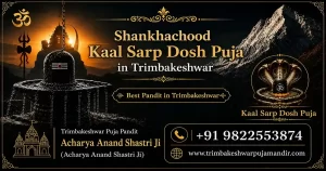 Read more about the article Shankhachood Kaal Sarp Dosh: Effects, Remedies and Puja Procedure