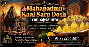 Read more about the article Mahapadam Kaal Sarp Dosh Trimbakeshwar | Effects, Remedy & Puja Booking