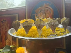 Kaal Sarp Dosh Puja Trimbakeshwar