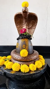 Rudra Abhishek Puja at Trimbakeshwar